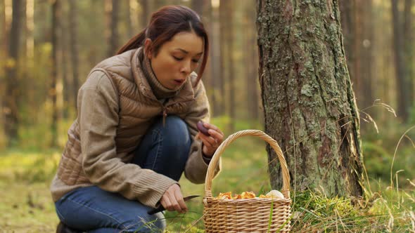 Young Woman Picking Mushrooms in Autumn Forest