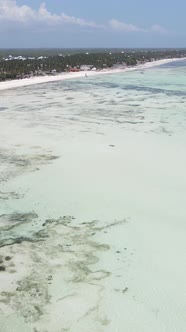 Vertical Video of Low Tide in the Ocean Near the Coast of Zanzibar Tanzania