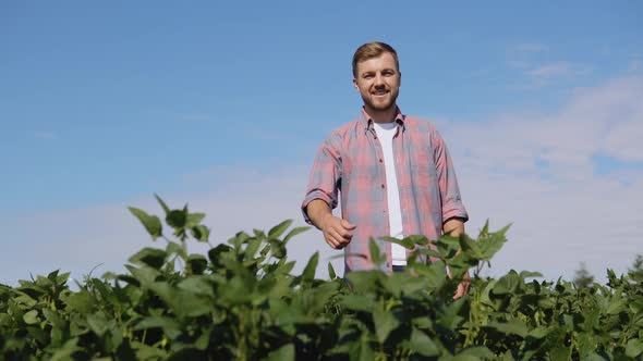 A Young Farmer Stands in the Middle of a Soybean Field and Shows His Satisfaction with the Harvest