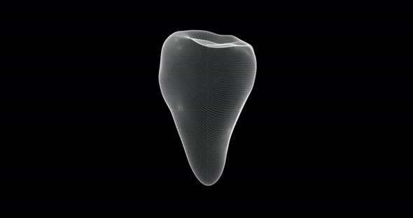 Teeth Hologram