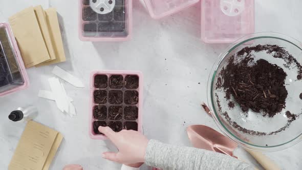 Flat lay. Planting seeds in seed propagator with soil.