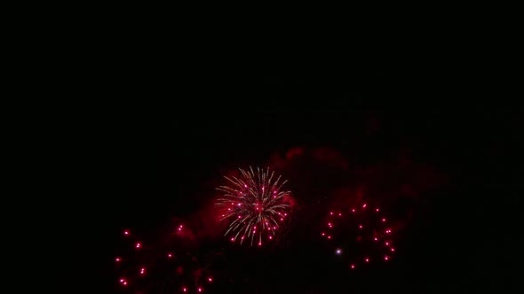 Colorful Firework display at night on sky background