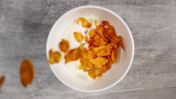 Cooking Morning Meal Consisting of Yellow Cornflakes and Milk in Slow Motion