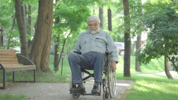 Cheerful Old Disabled Man Rolling Wheelchair Along the Alley in Summer Park. Wide Shot Portrait of