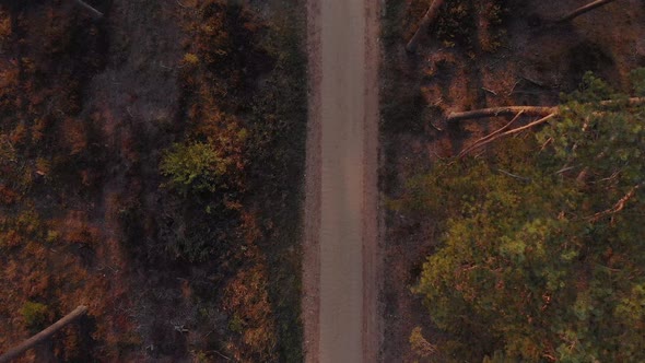 Man running along forest path