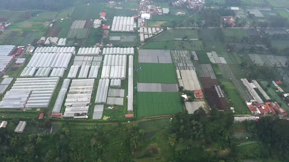 Aerial view of a farm field suburban area in Asia country