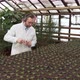 Biologist in White Coat and Glasses Sprays Plant Seedlings with Water From Spray Gun - VideoHive Item for Sale