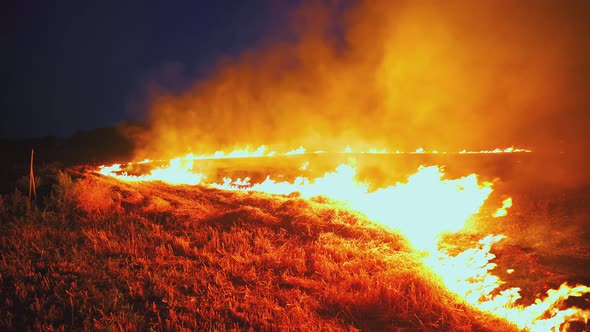 A wheat field is burning. war Ukraine, Kherson region. Arson, explosion, world hunger. Arid climate