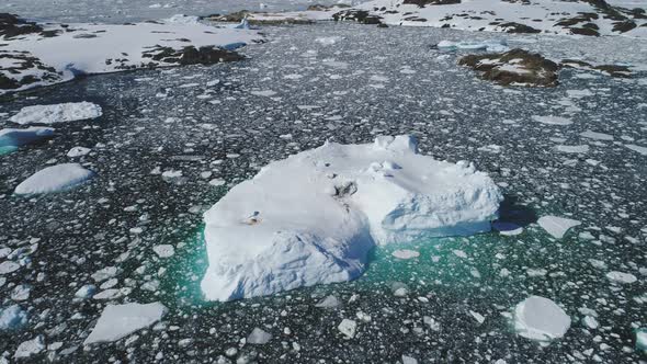 Antarctica Huge Iceberg Float Aerial Tracking View