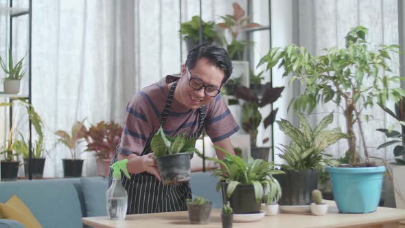 Asian Man Looking At The Plant In Hand And Shaking His Head