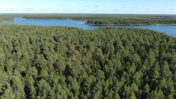 Flight Over the Taiga Forest Lake