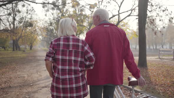 Back View of Mature Caucasian Couple Walking Along the Alley in the Park