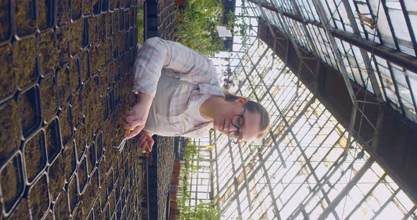 Vertical Video of a Young Woman in Eyeglasses Loosens the Soil in the Cells After Planting the Seeds