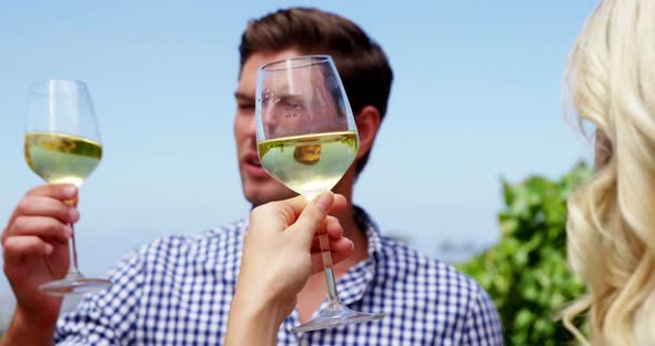 Couple drinking wine in vineyard