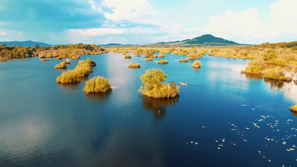 wetlands with various trees represent the integrity of the forest.