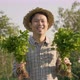 Happy Asian farmer harvest fresh vegetables at his farm. - VideoHive Item for Sale