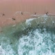 Aerial View of the Fishermen Sitting on Their Shelves and Fishing During Sunset the Southern Part of - VideoHive Item for Sale