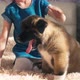 Akita puppy sitting near girl on bed - VideoHive Item for Sale