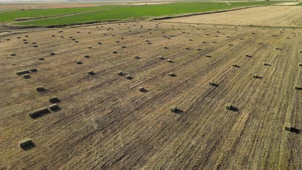 straw bales