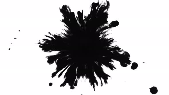 Super Slow Motion Shot of Black Ink Drop Isolated on White Background at 1000 Fps