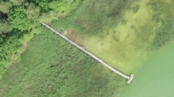 Lake and Forest Aerial