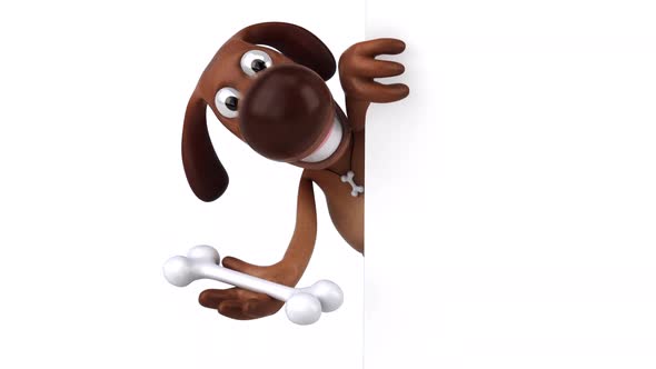 Fun dog - 3D Animation