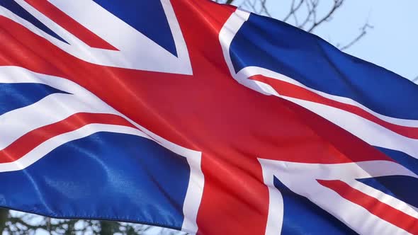 UK Flag and Park Trees