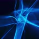 Abstract Fractal Generative Art Blue Plasma Energy Force Field Loop on Dark Background - VideoHive Item for Sale
