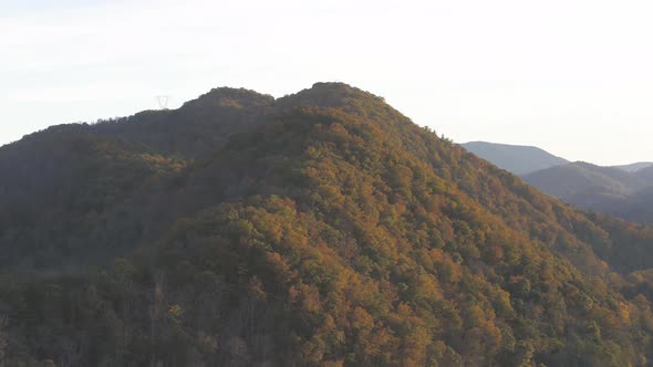 Aerial view of a hill with thick forestry