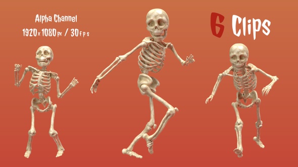 Halloween Skeleton (6-Pack)
