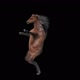 57 Horse Dancing HD - VideoHive Item for Sale