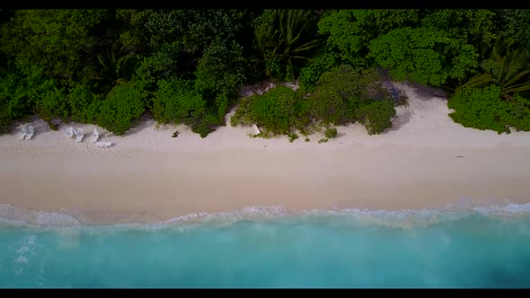 Aerial top view seascape of marine sea view beach wildlife by transparent sea with white sand backgr