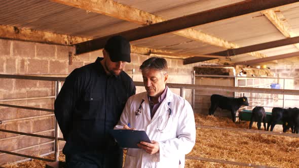 Cattle farmer and veterinary physician interacting with each other while using digital tablet