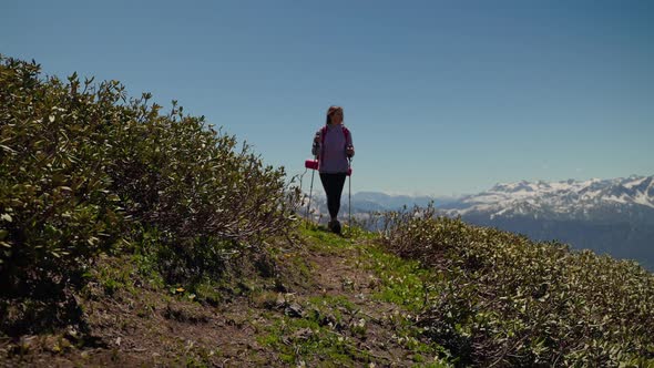 Woman Trekker on Green Hillside