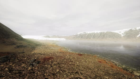 Big Glacier on the Coast of Antarctica a Sunny Summer Afternoon