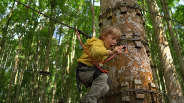 Little Boy in a Safety Harness Climbs on a Route in a Forest Adventure Park