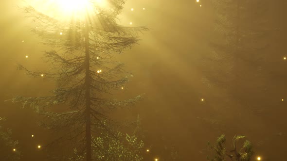 Magical Forest with Sparkles alt