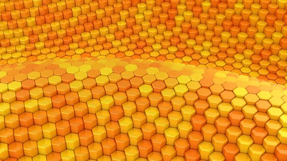 Hexagons Formed A Wave