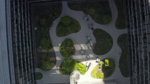 AERIAL: Bird View of Skyscraper Garden with Green Trees in Urban Environment with City Traffic at