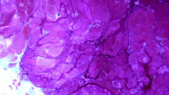 Color Explosion Abstract Art Painting 455 alt