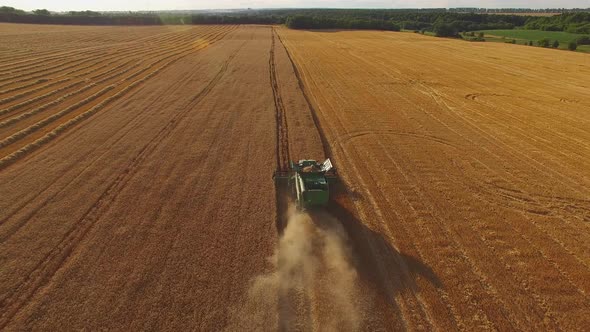 Combine, Field and Trees.