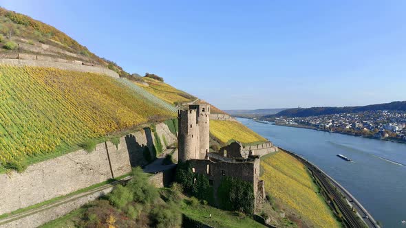 Ehrenfels Castle on Rhine river, Hesse, Germany