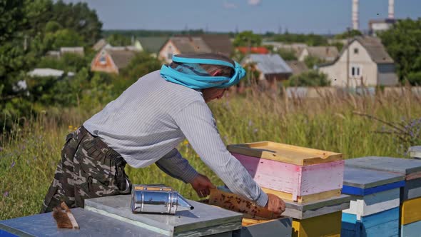 Man works on a bee farm. Beekeeper examining beehives on the apiary in the countryside. 