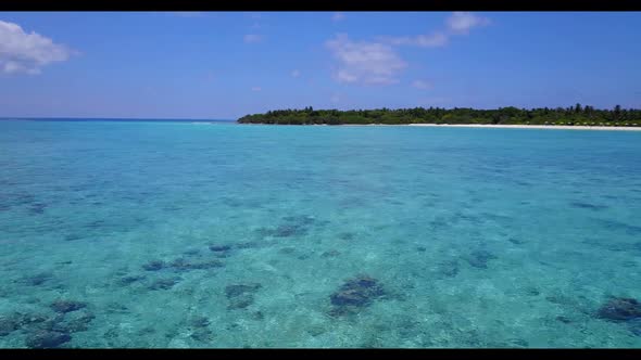 Aerial flying over landscape of idyllic bay beach wildlife by transparent sea with clean sand backgr