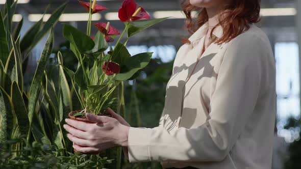 Portrait of Cute Smiling Female Shopper Chooses Decorative Potted Flowers for Comfort of Home