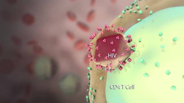 Destructive effect of HIV virus on cells alt