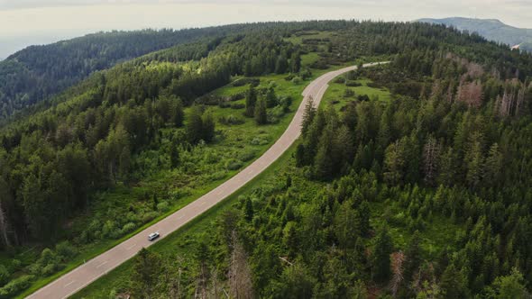 A Green Hilly Valley Overgrown with a Dense Spruce Forest