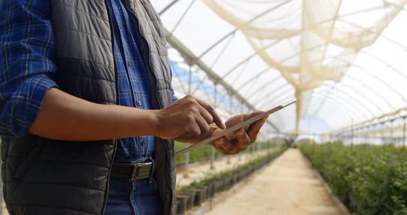 Man using digital tablet in blueberry farm 4k