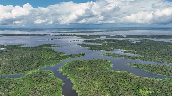 Stunning landscape of Amazon Forest at Amazonas State Brazil.