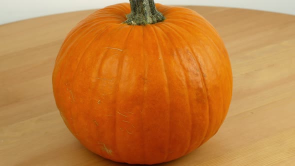 Halloween decorations and holidays - close-up of a woman holding a carved pumpkin in her hands